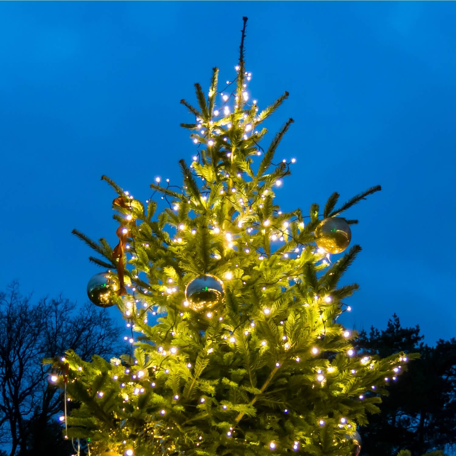 Christmas Tree - Image 7