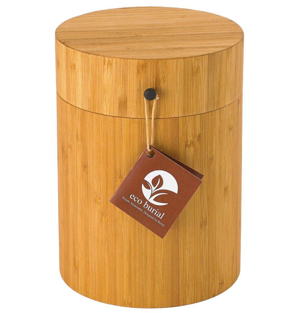 Biodegradable Burial Urn - Image 5