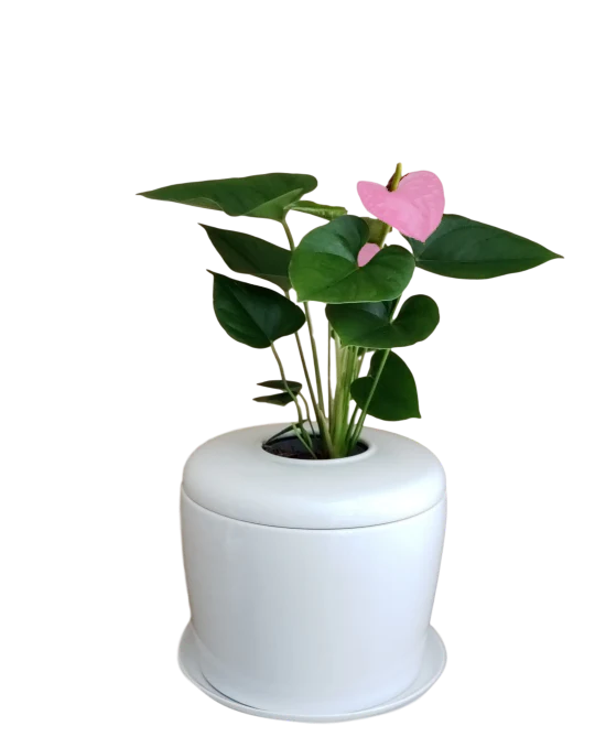Flower Vase for Urn