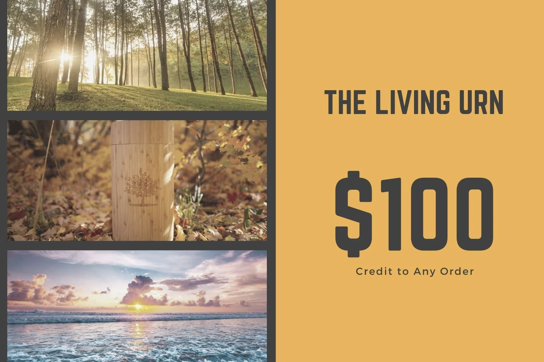 Gift Cards - Image 4