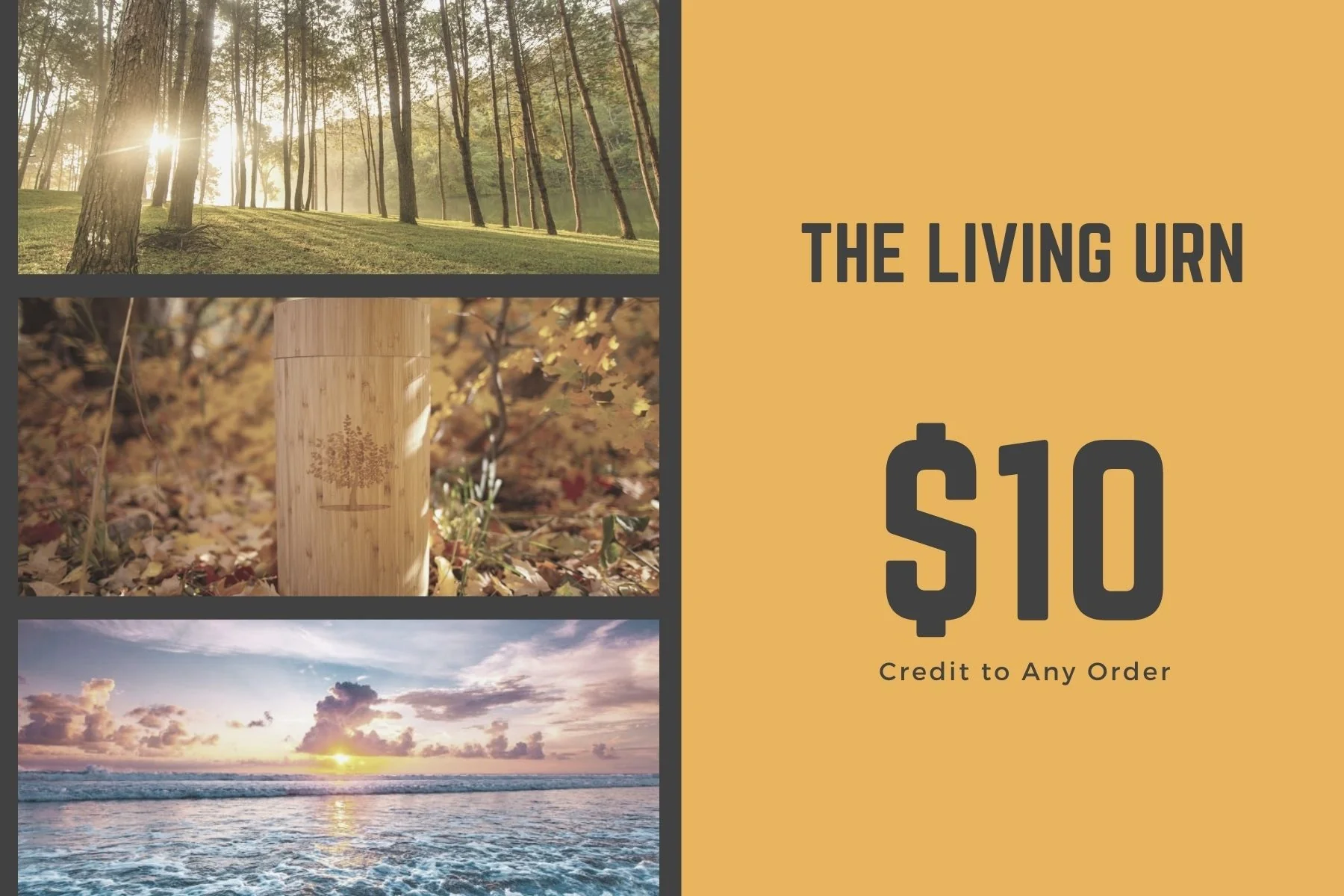Gift Cards - Image 7