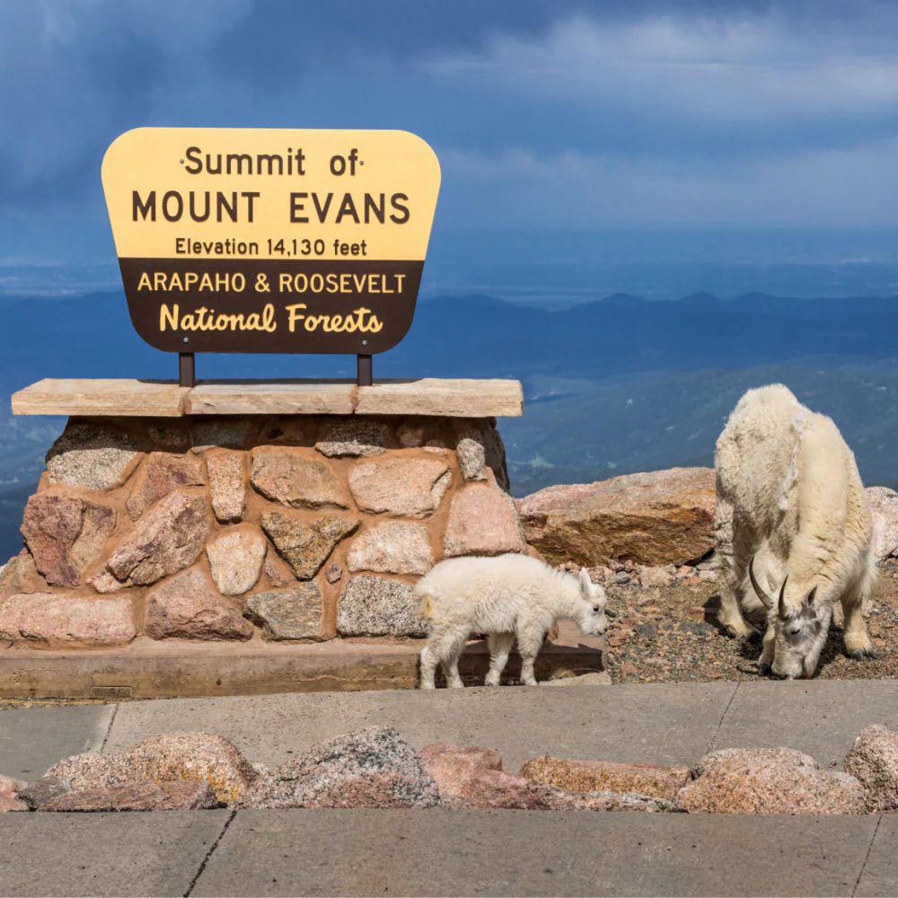 Mount Evans - Image 5