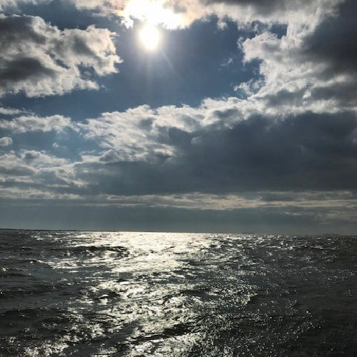 New York Ash Scattering at Sea Service - Image 3