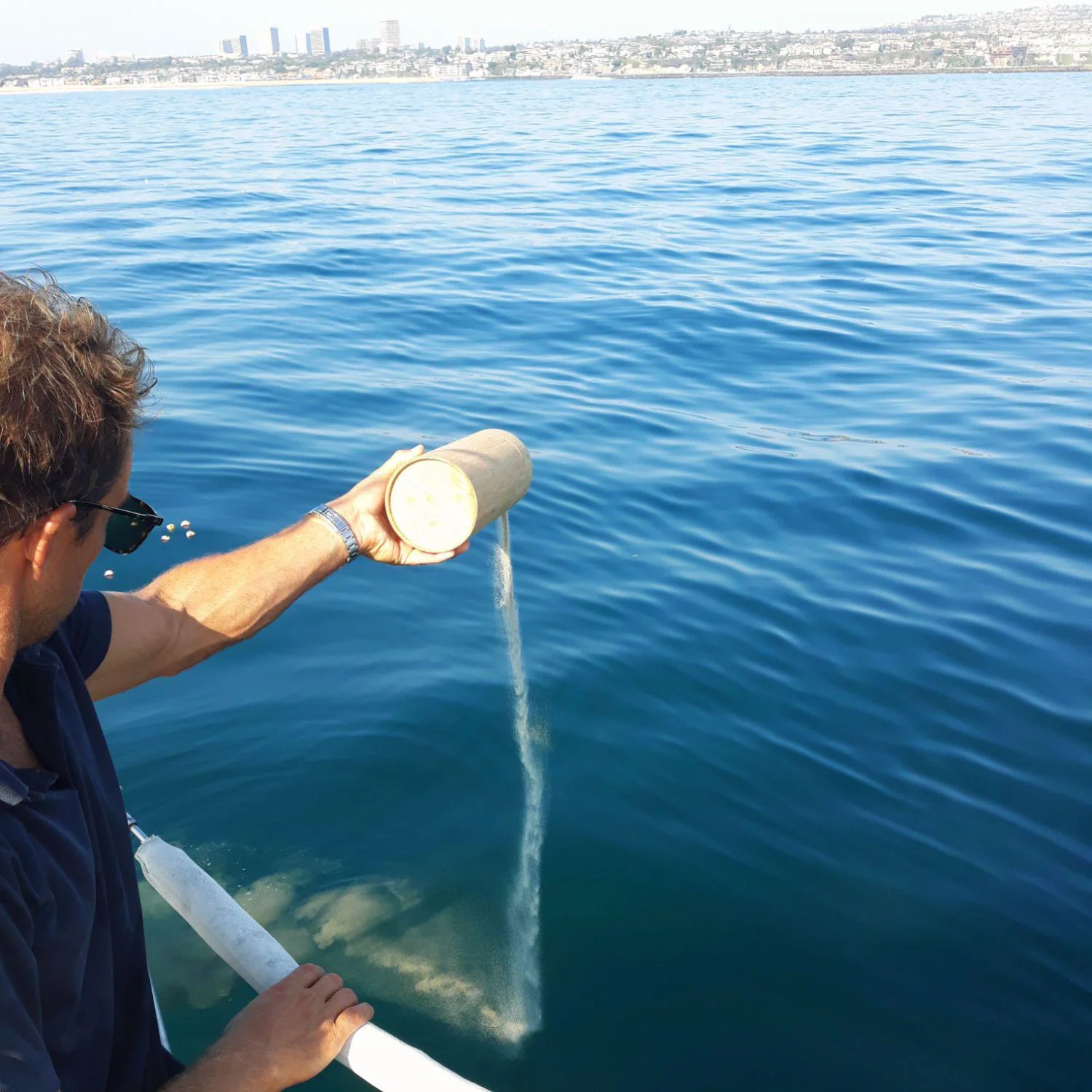 Newport Beach Ash Scattering Service - Image 2