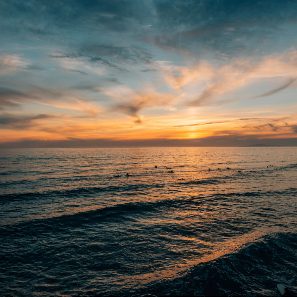 Newport Beach Ash Scattering Service - Image 4