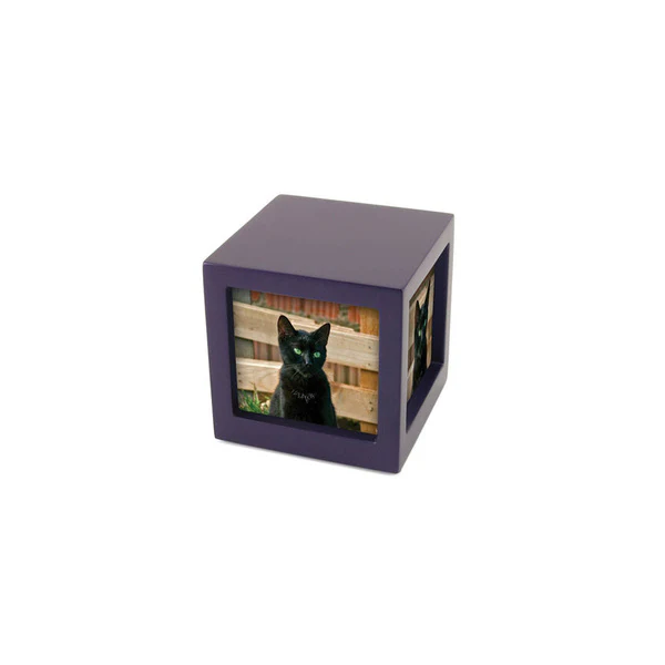 Photo Cube Urn for Pet Ashes - Violet - Image 4