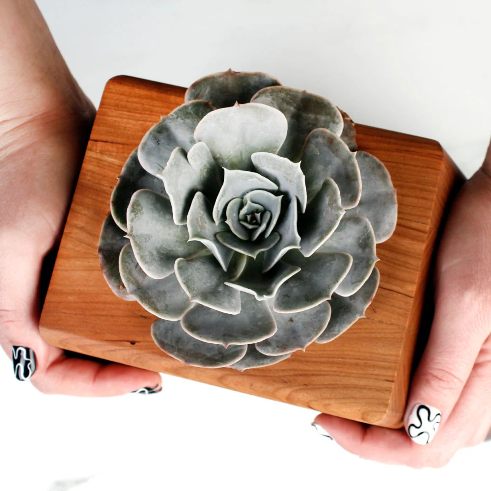 The Living Urn Planter™ - Image 23