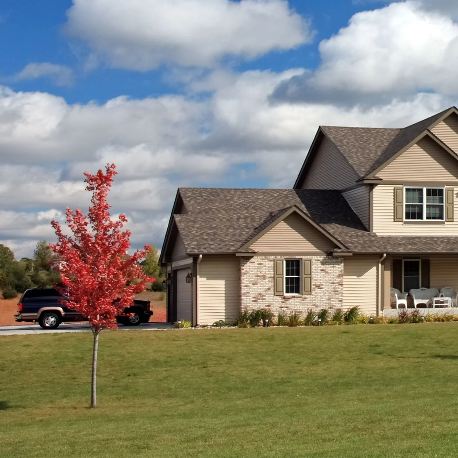 Red Maple - Image 4