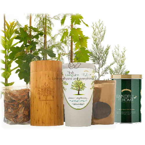 The Irish Living Urn