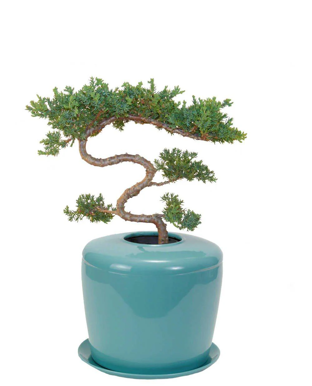 The Living Urn Indoors / Patio - Image 11