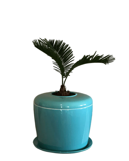 The Living Urn Indoors / Patio - Image 20