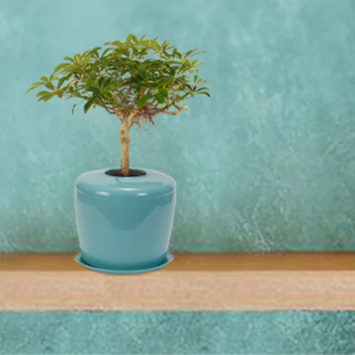 The Living Urn Indoors / Patio - Image 3