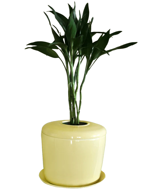 The Living Urn Indoors / Patio - Image 36