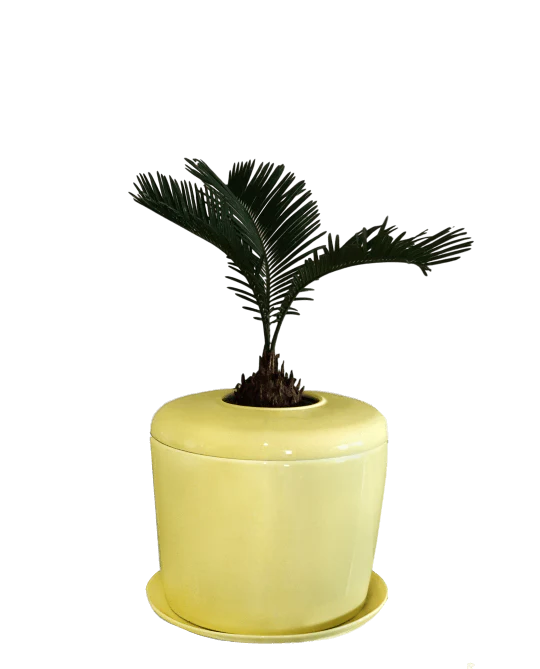 The Living Urn Indoors / Patio - Image 37